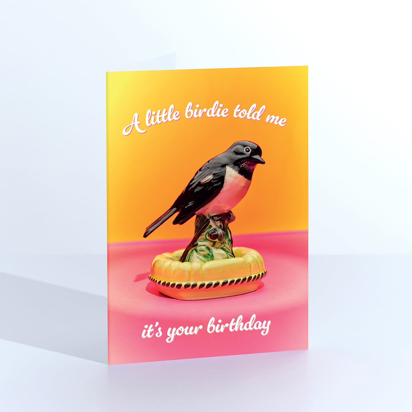 A Little Bird Birthday Greetings Card