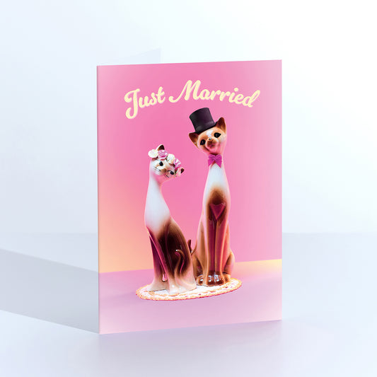 Just Married Cats Greetings Card