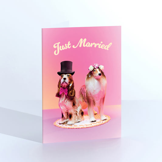 Just Married Dogs Greetings Card