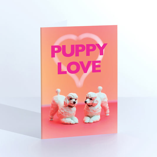 Puppy love Dogs In Love Greetings Card