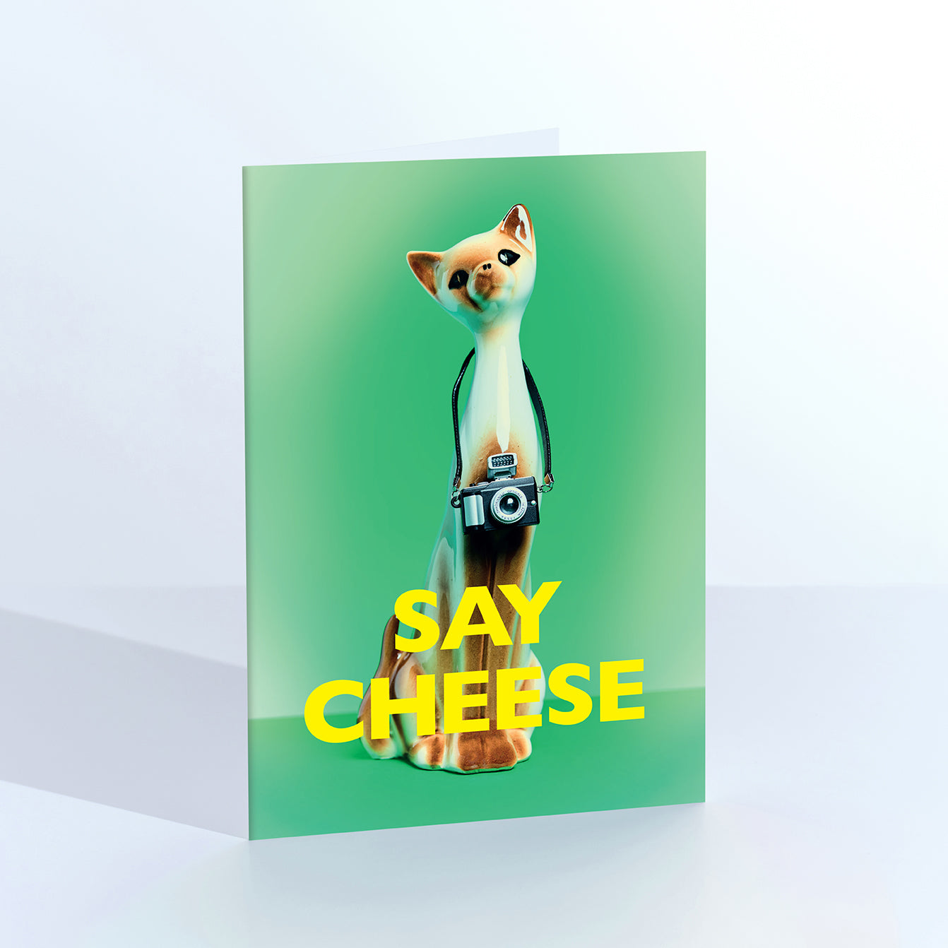 Say Cheese Cat with Camera Greetings Card