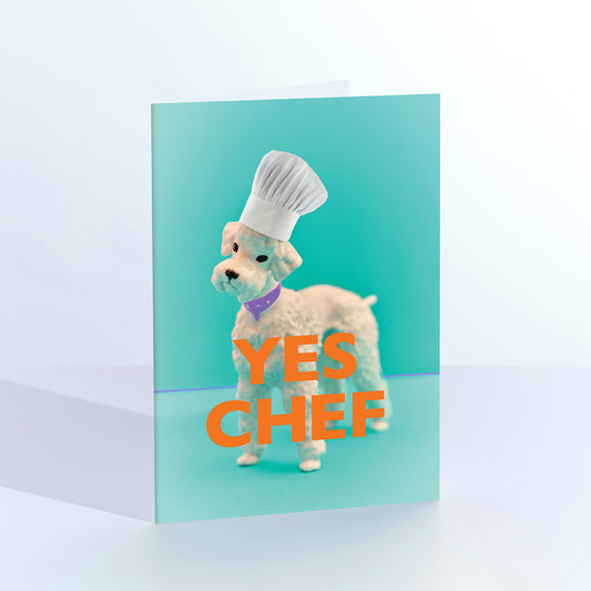 Yes Chef Poodle Greetings Card