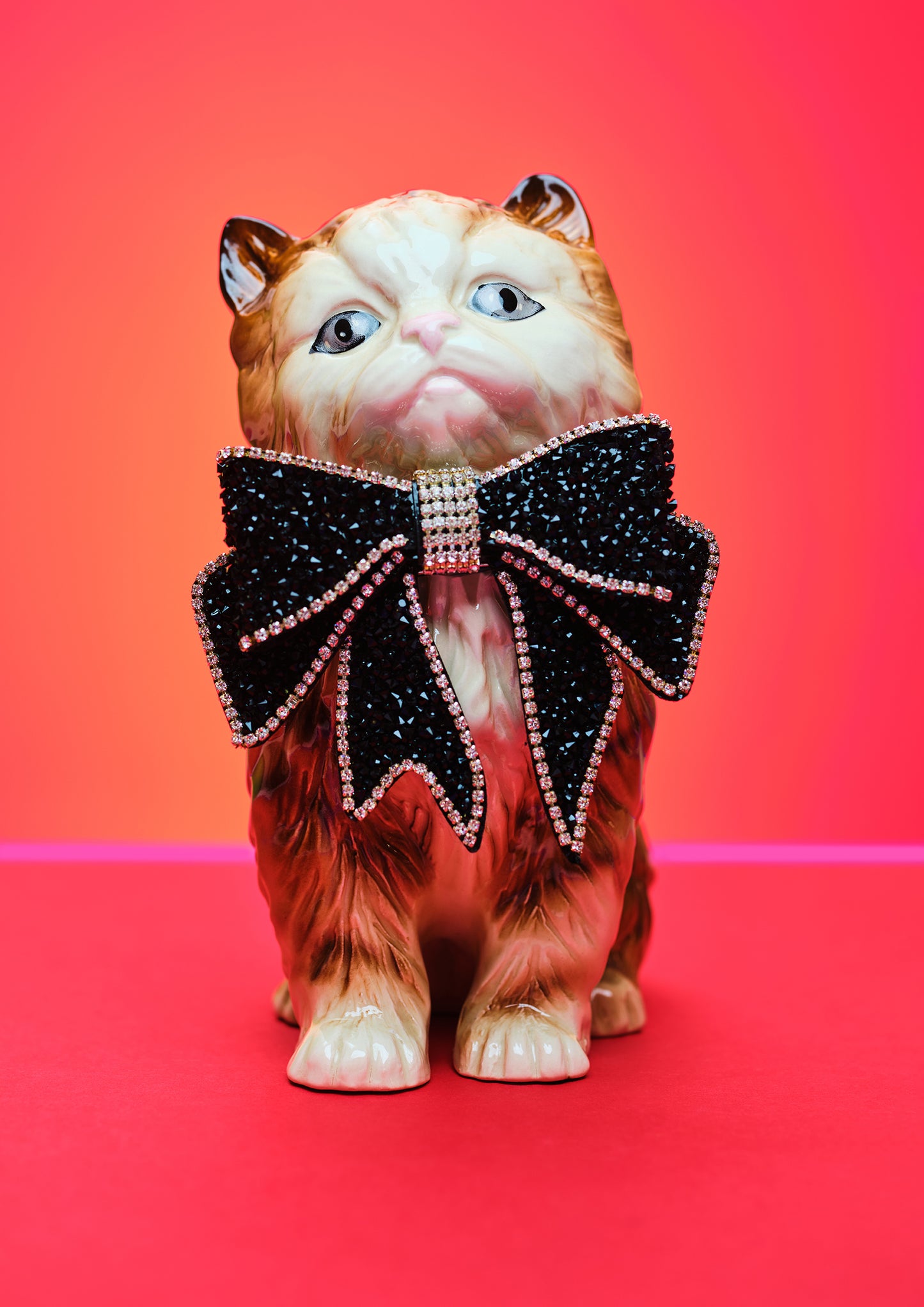 Superstar Cat In Bow Photo Print