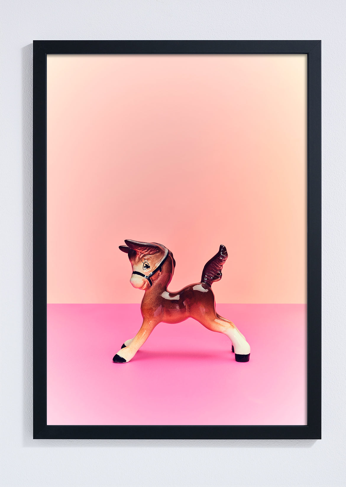 "Playful foal" giclée photo print