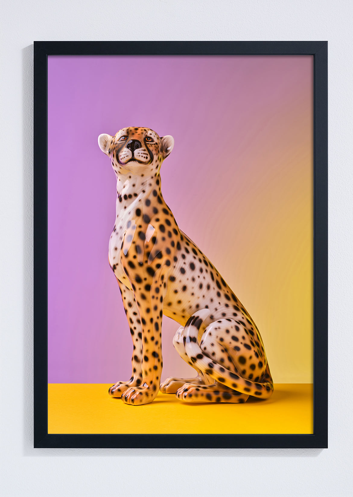 "Seated cheetah, lilac clash" giclée photo print