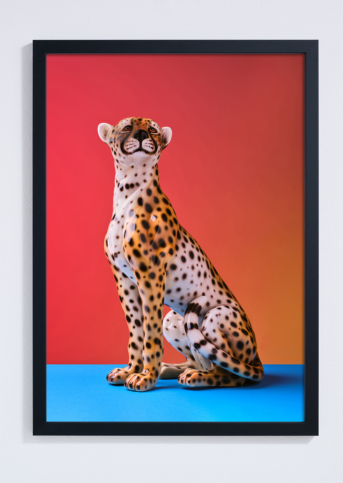 "Seated cheetah red clash" giclée photo print