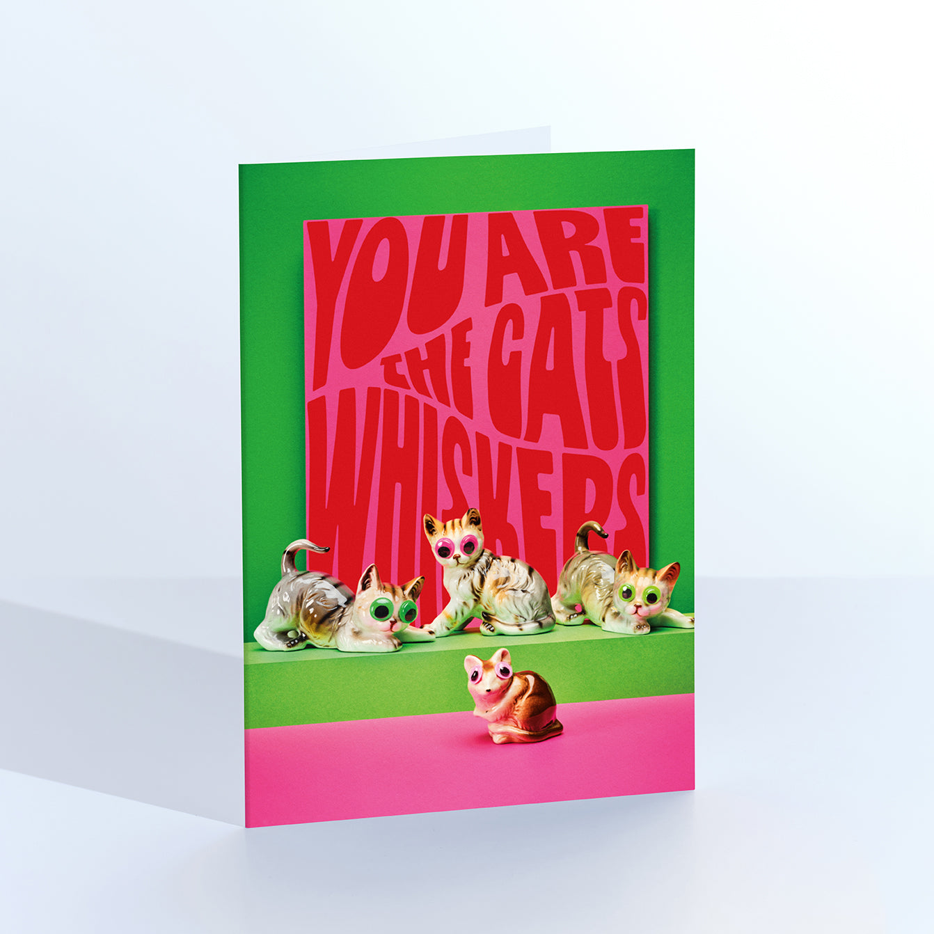 The Cats Whiskers humorous greetings card