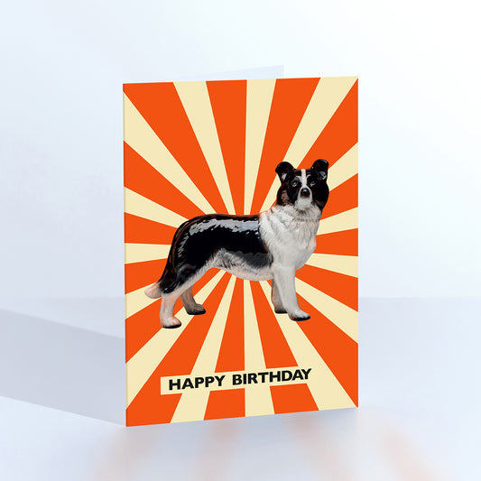 Circus Collie dog greetings card