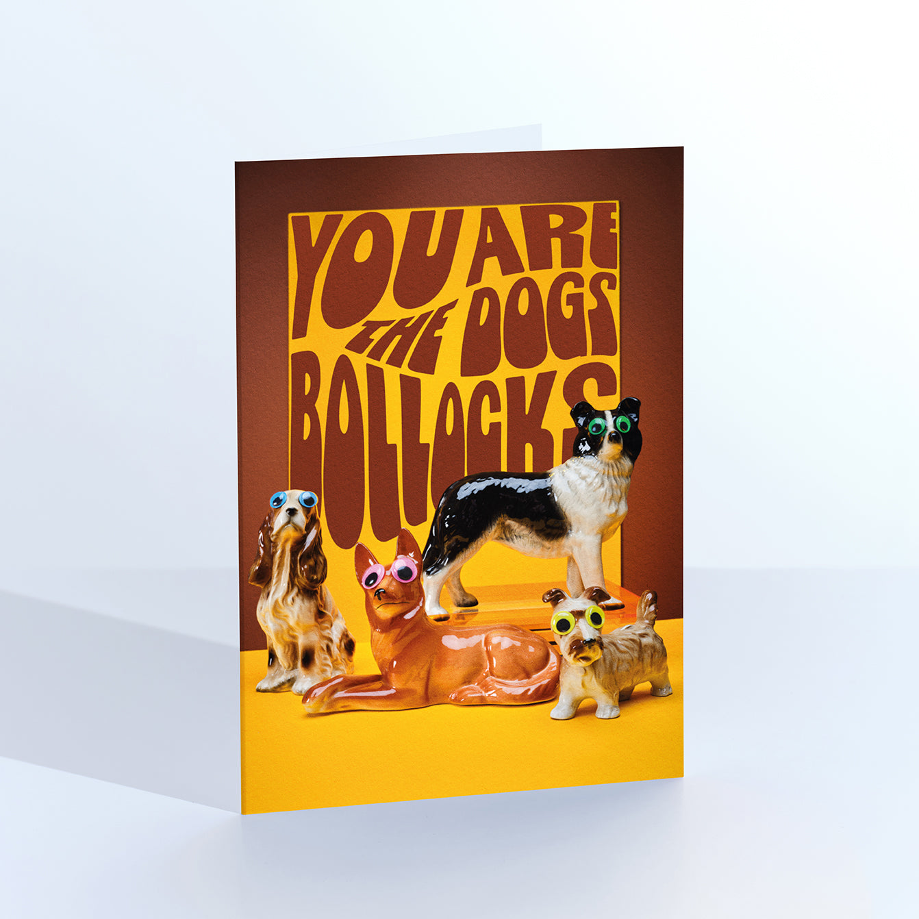 The Dogs Bollocks humorous greetings card