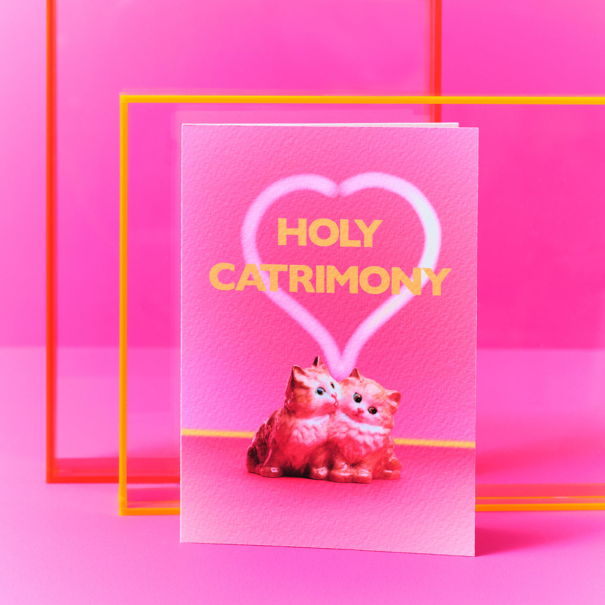 Holy Catrimony Cats In Love Greetings Card