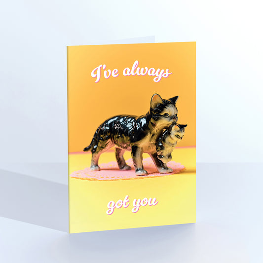 I've Always Got You Caring Cats Greetings Card