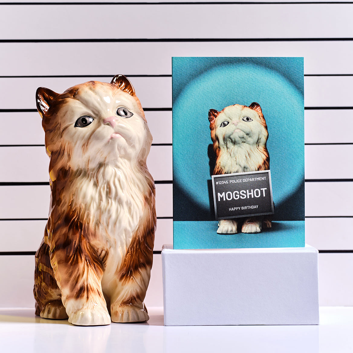 Mogshot Cat under Arrest Birthday Greetings Card