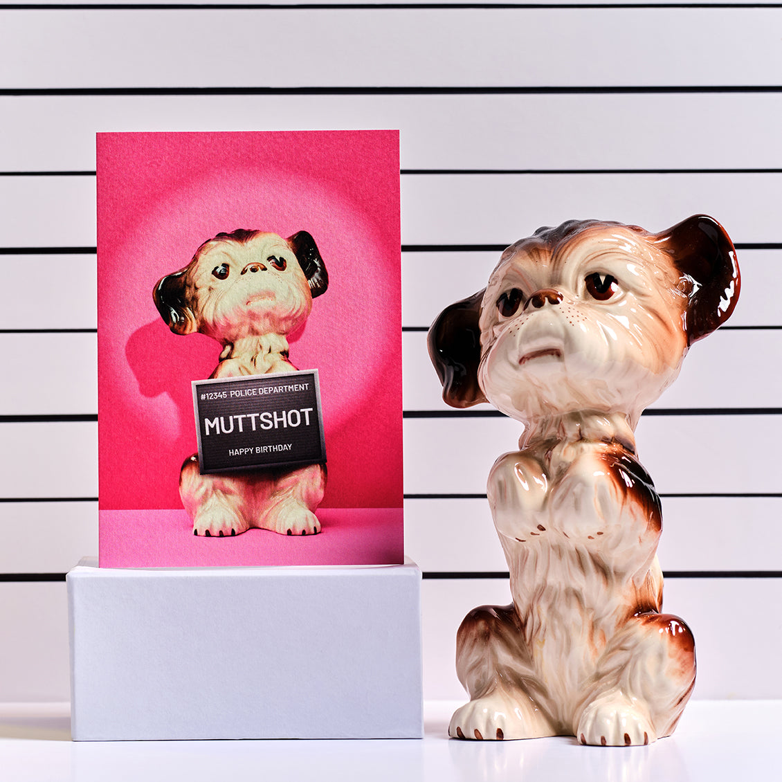 Muttshot Dog under arrest Birthday Greetings Card