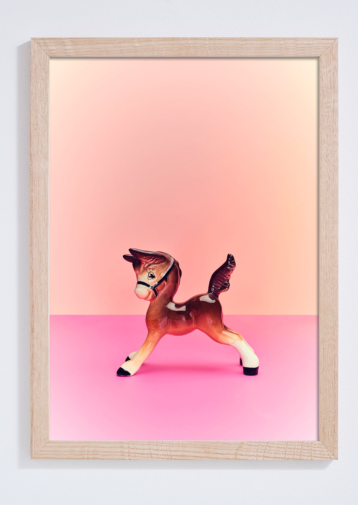 "Playful foal" giclée photo print