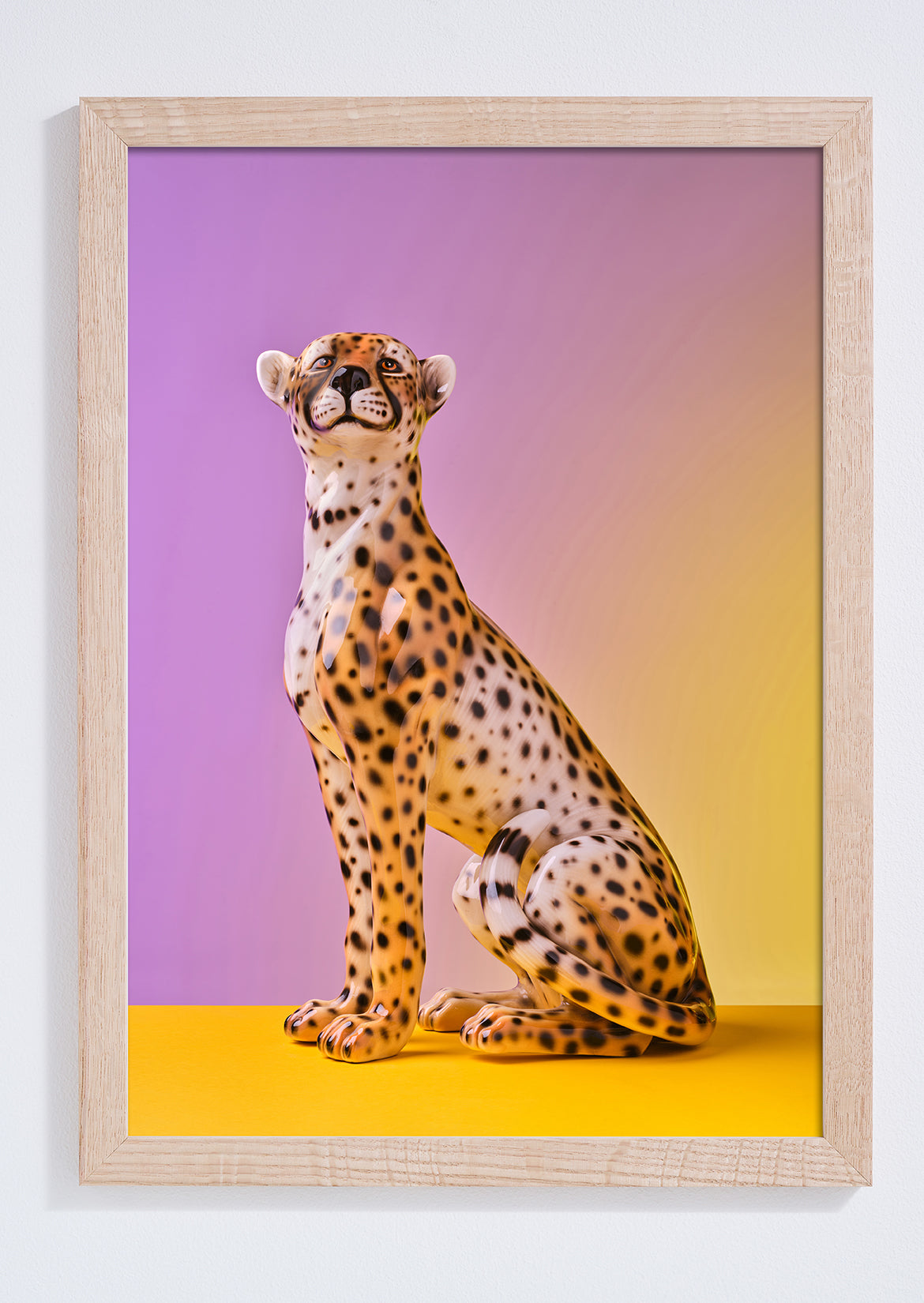 "Seated cheetah, lilac clash" giclée photo print