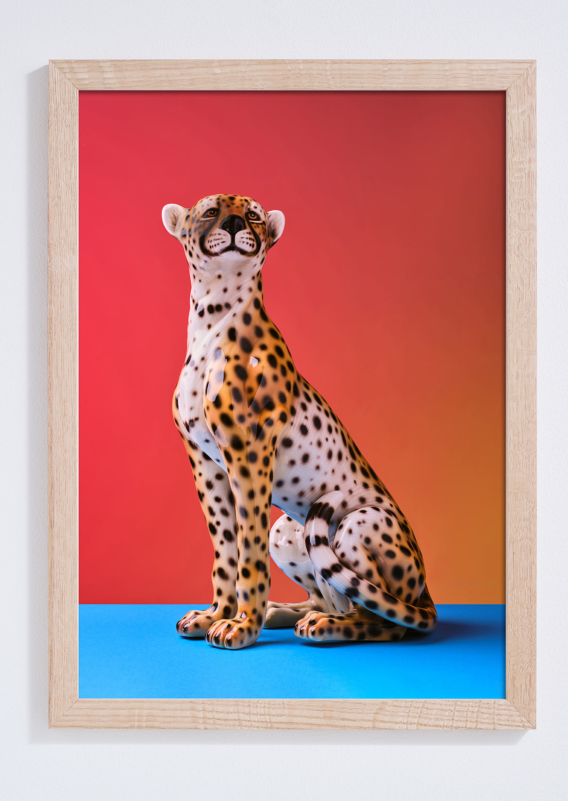 "Seated cheetah red clash" giclée photo print