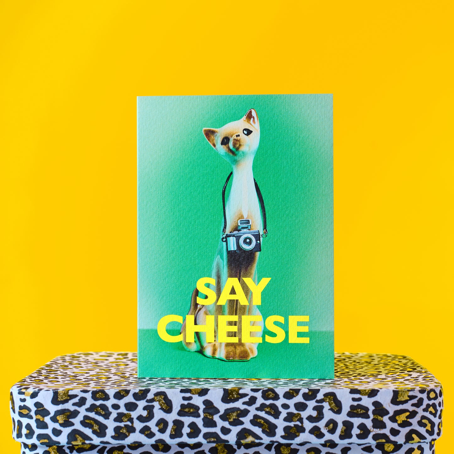 Say Cheese Cat with Camera Greetings Card