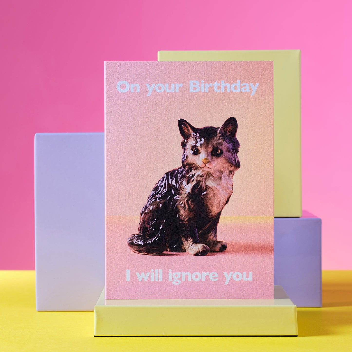 I will Ignore You Cat Birthday Card