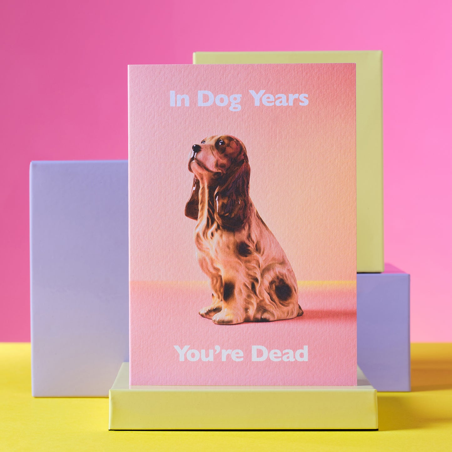 In Dog Years Greetings Card