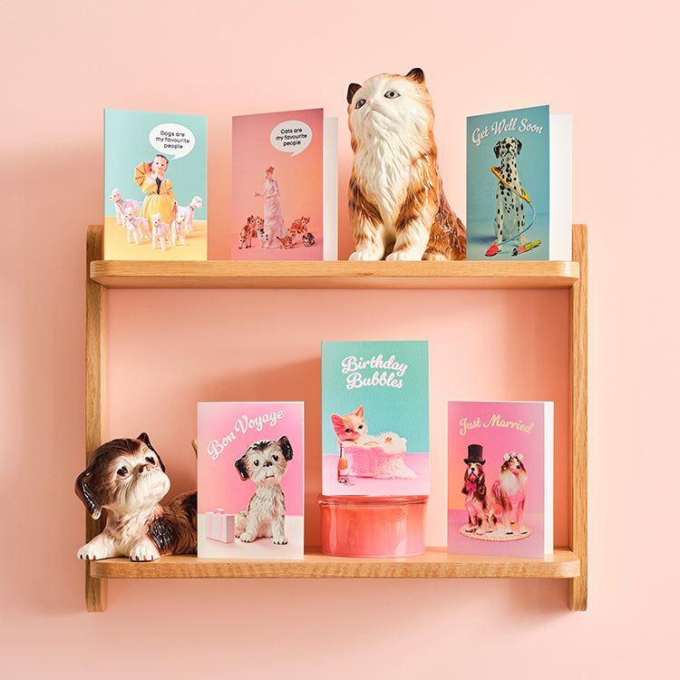 Get Well soon Dr Dog Greetings Card