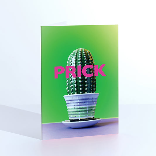 Prick Cactus in Vintage Pot Humorous Greetings Card