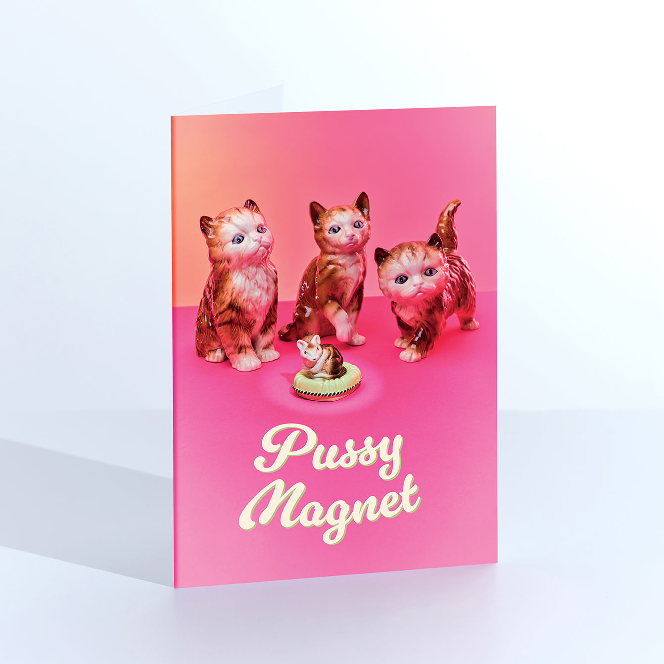 Pussy Magnet Mouse with Cats Greetings Card
