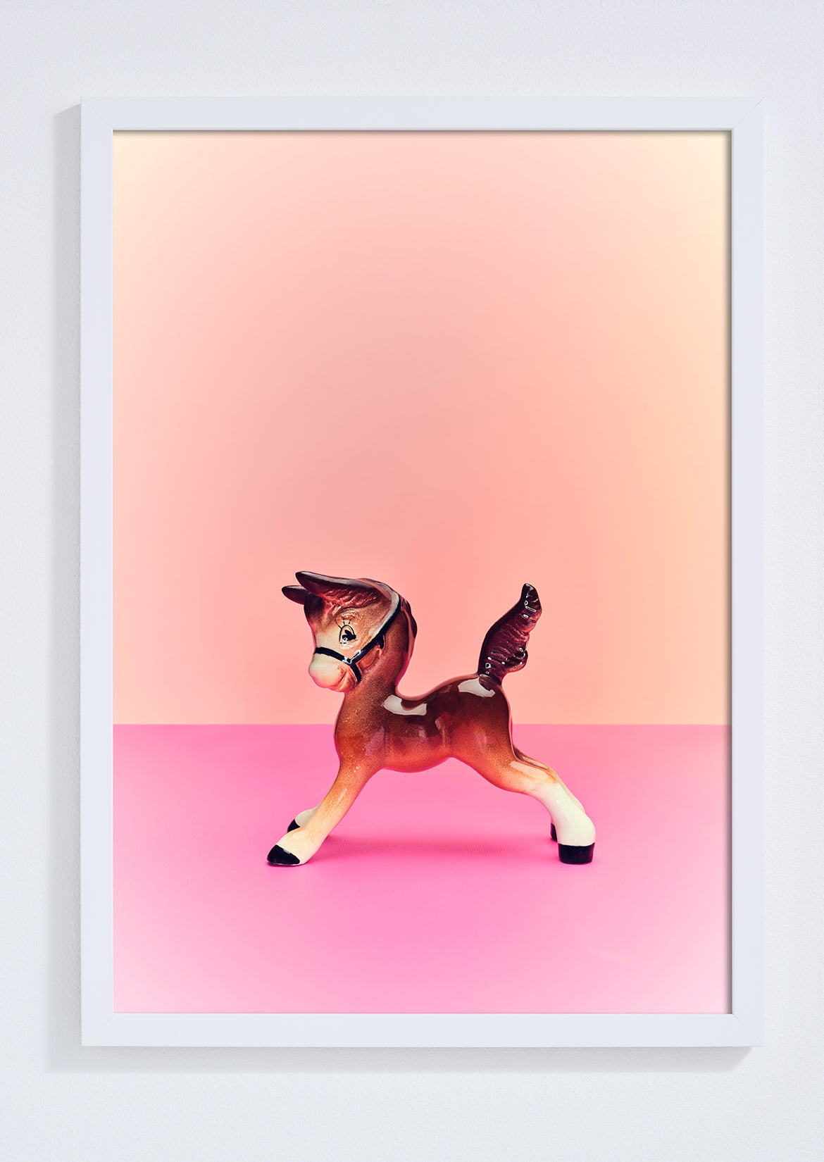 "Playful foal" giclée photo print