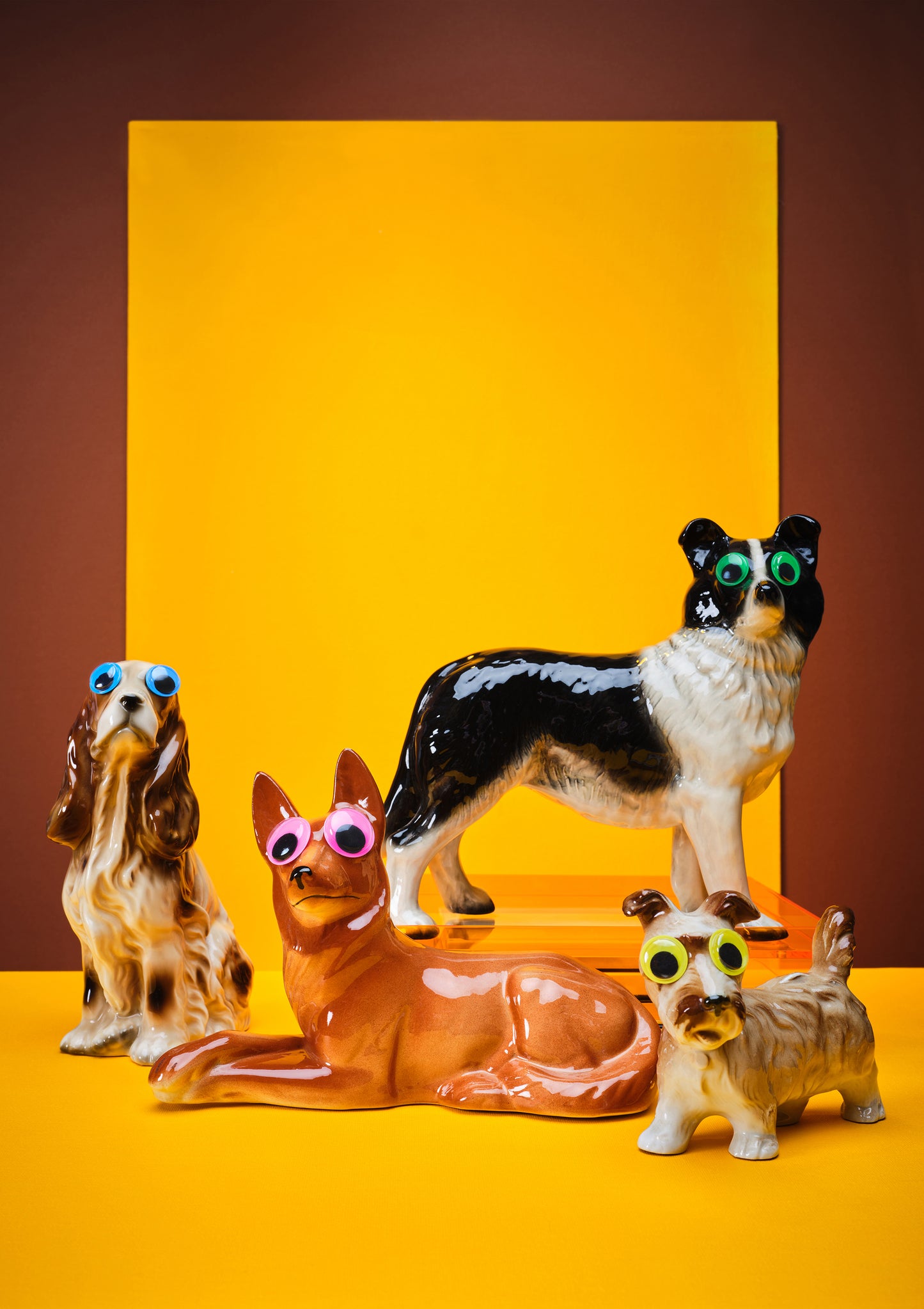 "Goggle eyed dogs, yellow" giclée photo print