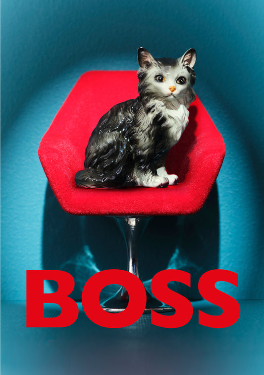 Boss Cat Photo Print