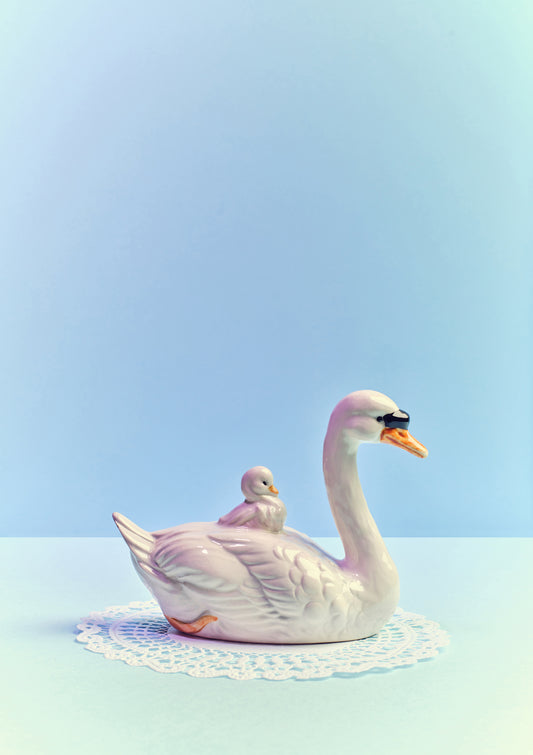 "Baby swan, blue mood" giclée photo print