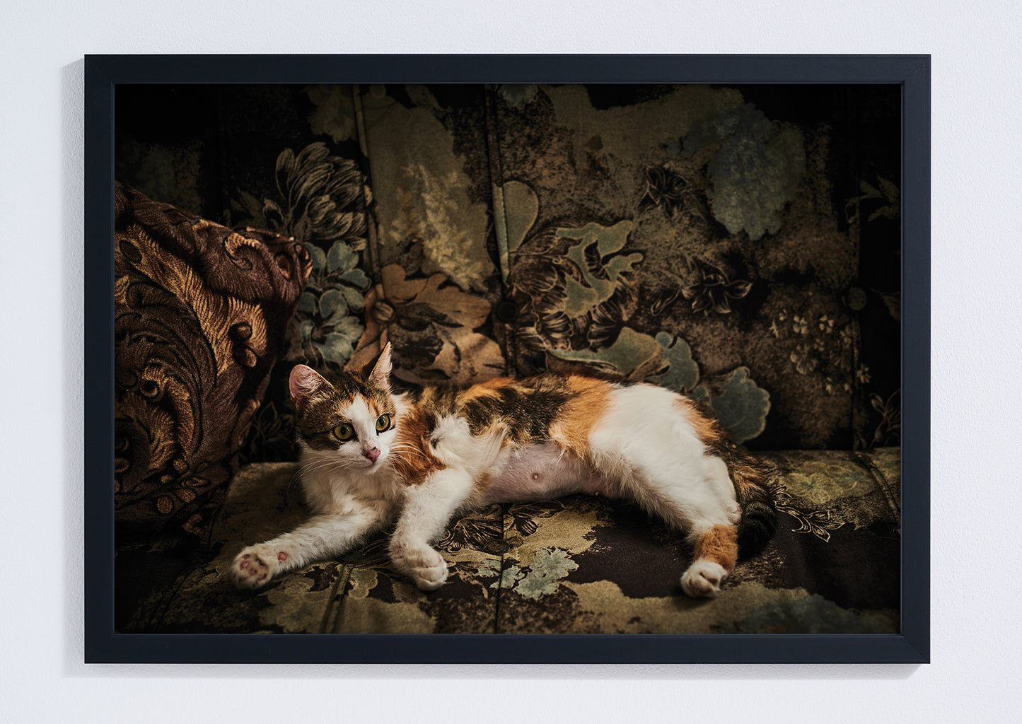 "Nana's cat" giclée photo print