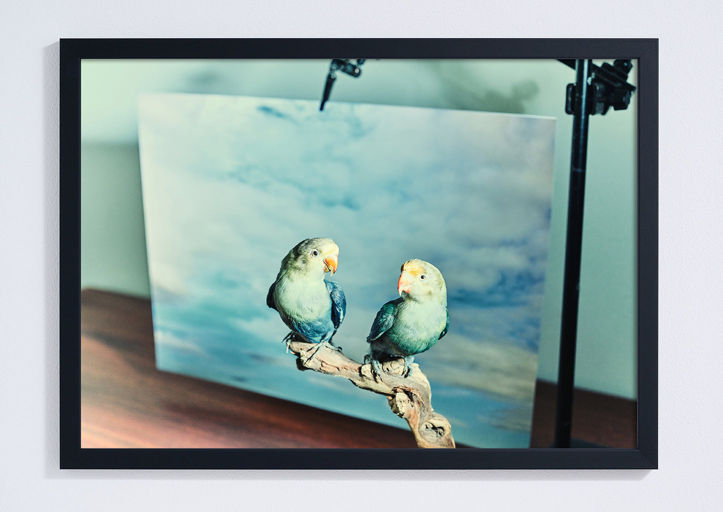 "The Lovebirds" giclée photo print