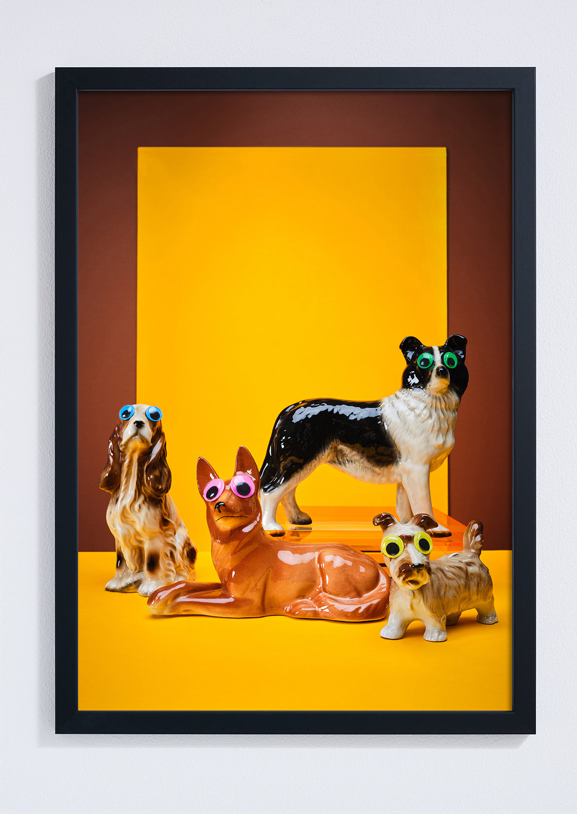 "Goggle eyed dogs, yellow" giclée photo print