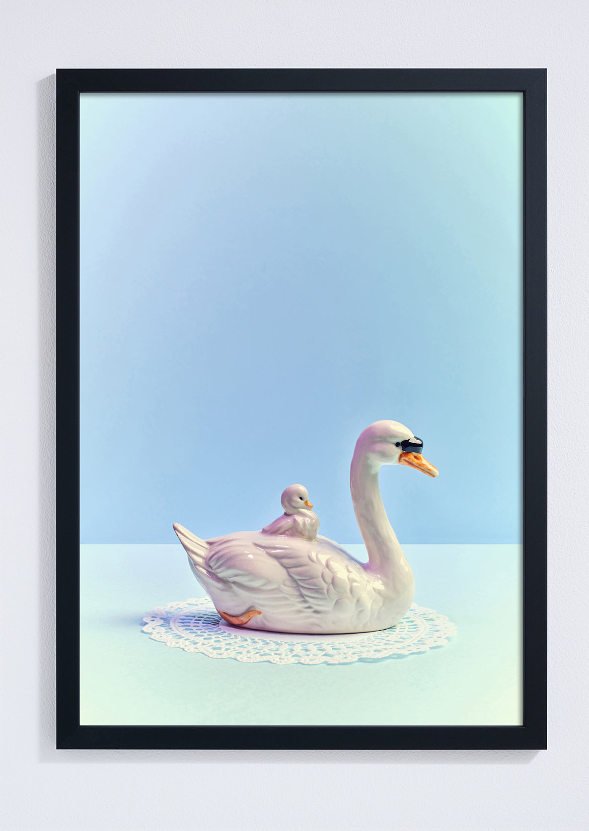 "Baby swan, blue mood" giclée photo print