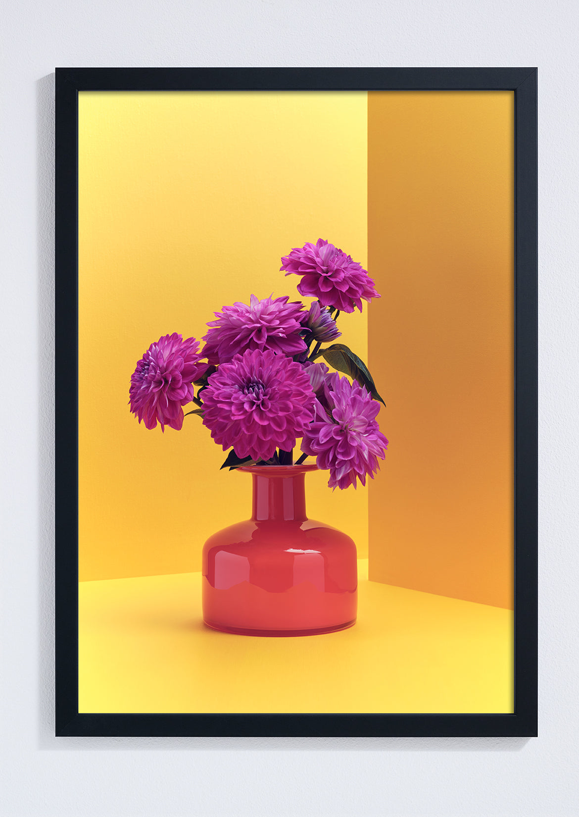 "Clash of the Dahlias, yellow" giclée photo print