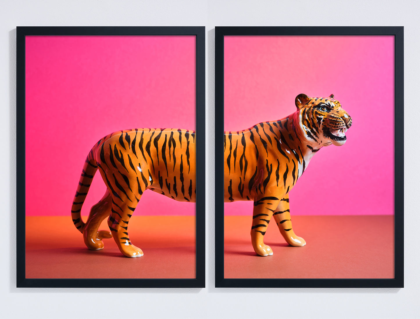 "Tiger split, pink" pair of giclée photo prints