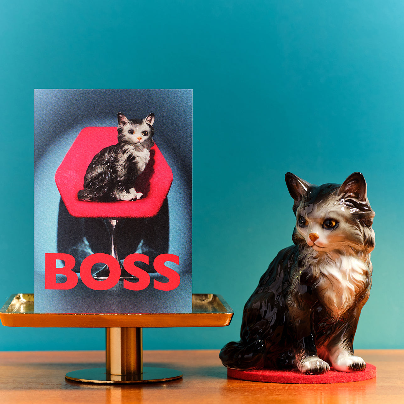 Sassy Boss Cat Greetings Card