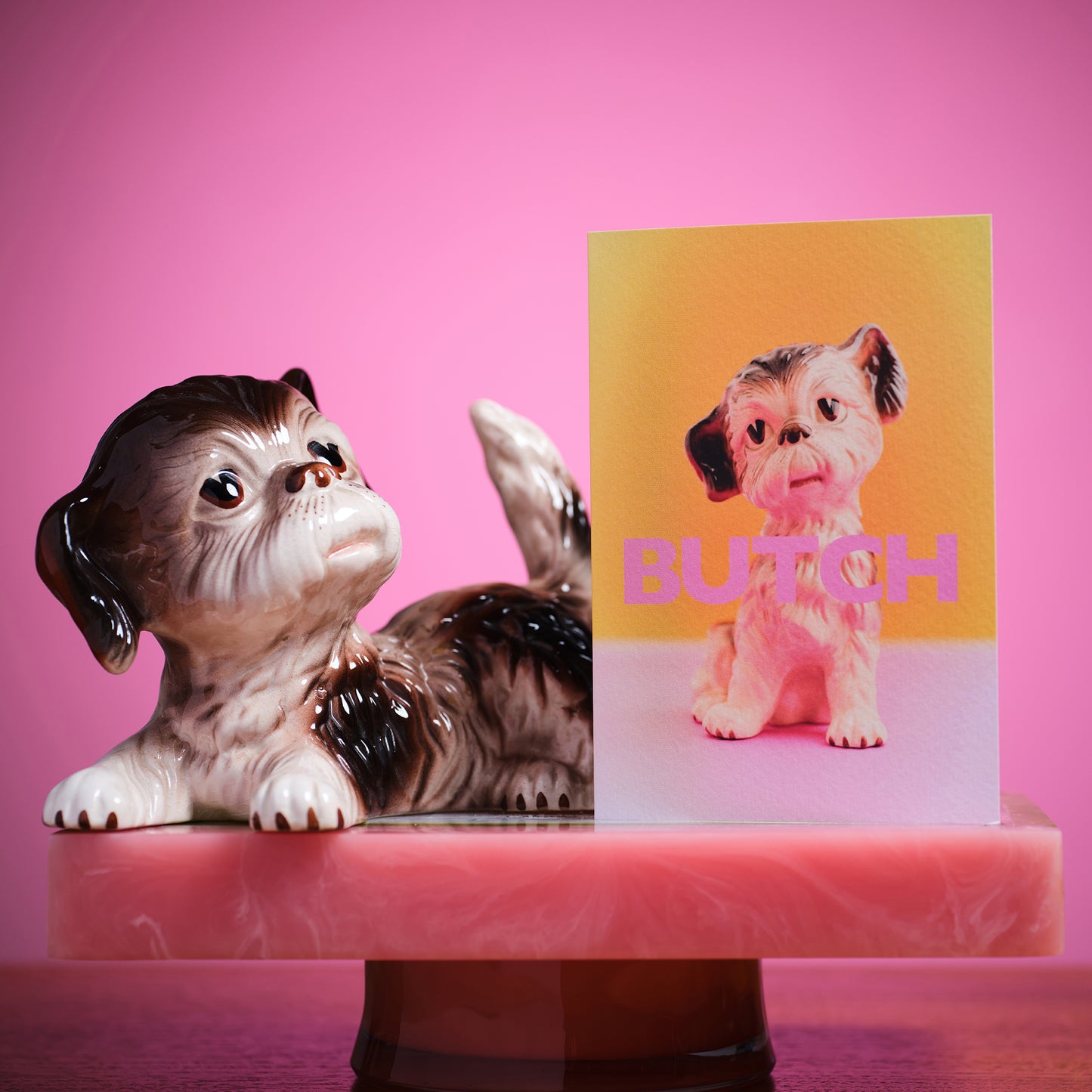 Butch Cute Puppy Greetings Card