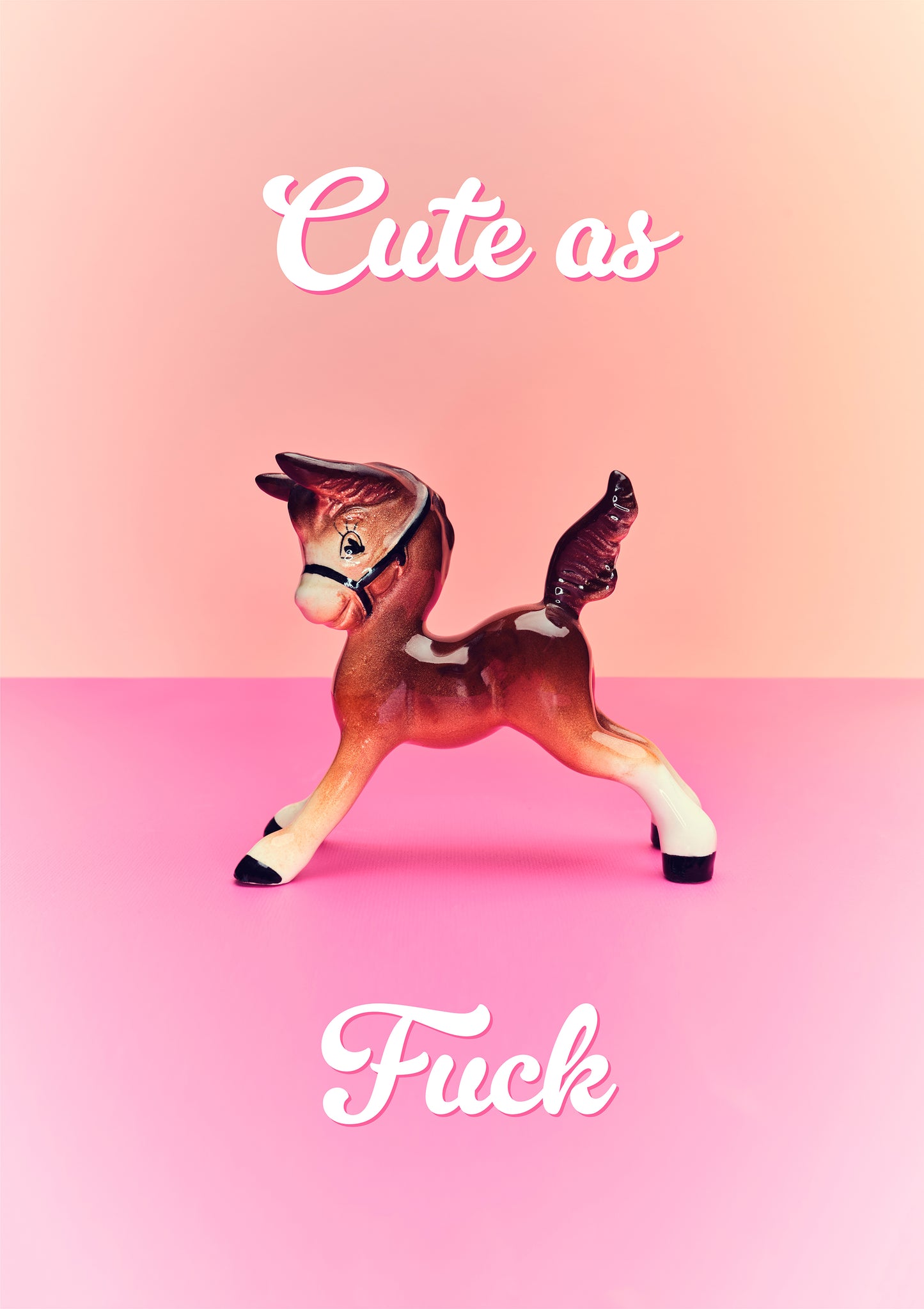 "Cute as Fuck" foal giclée photo print