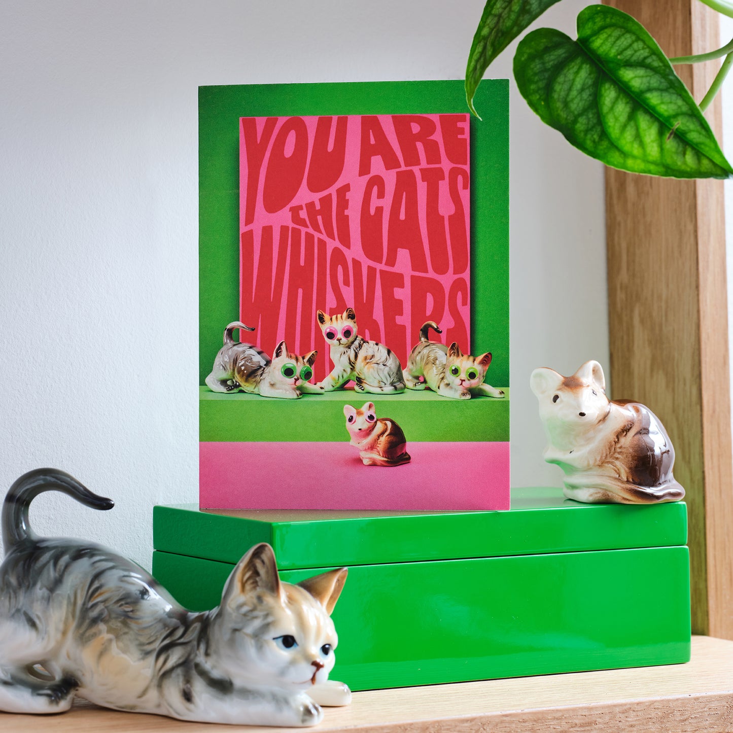 The Cats Whiskers humorous greetings card