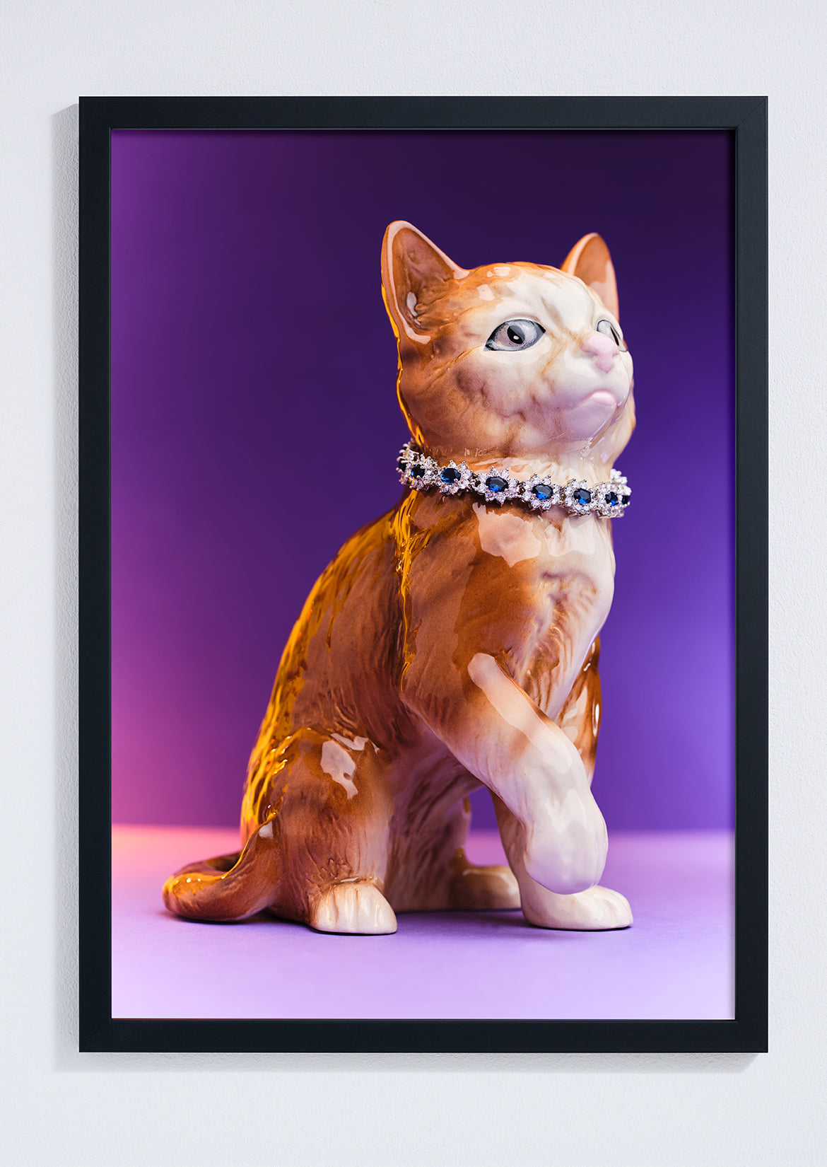 Diva Cat in Diamonds Photo Print