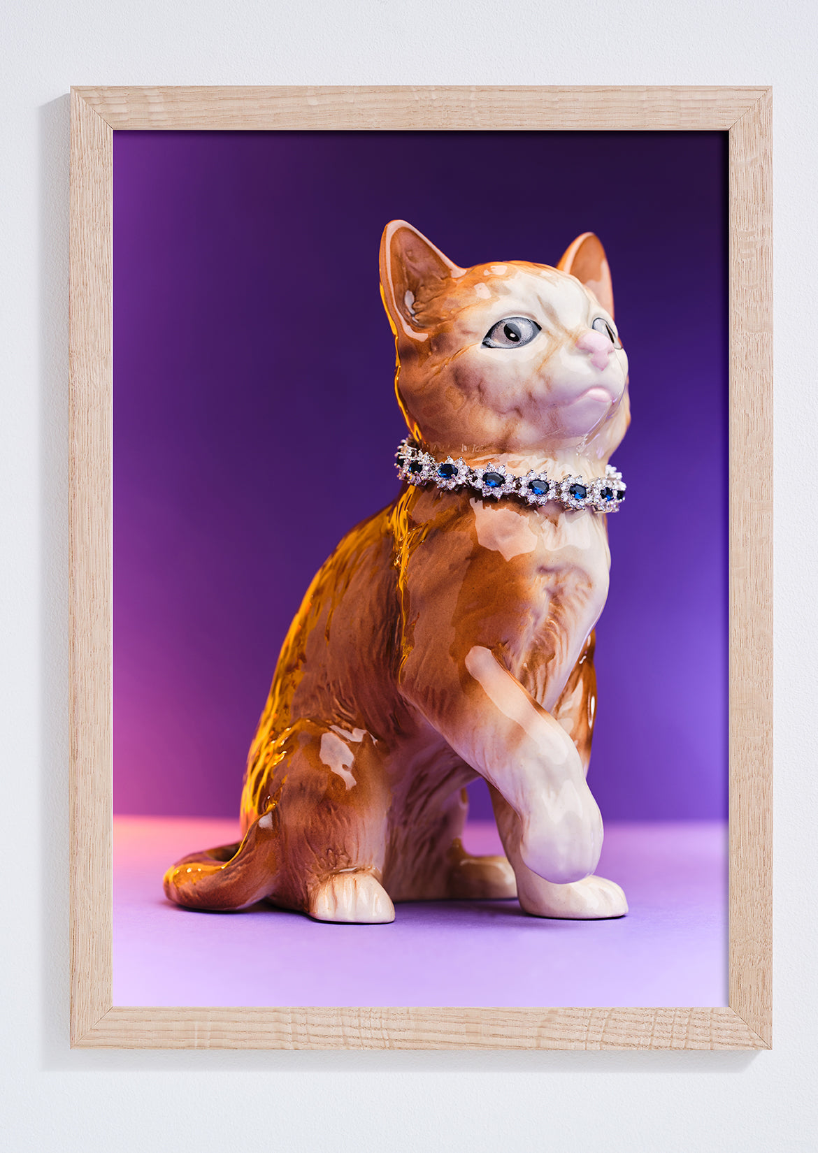 Diva Cat in Diamonds Photo Print