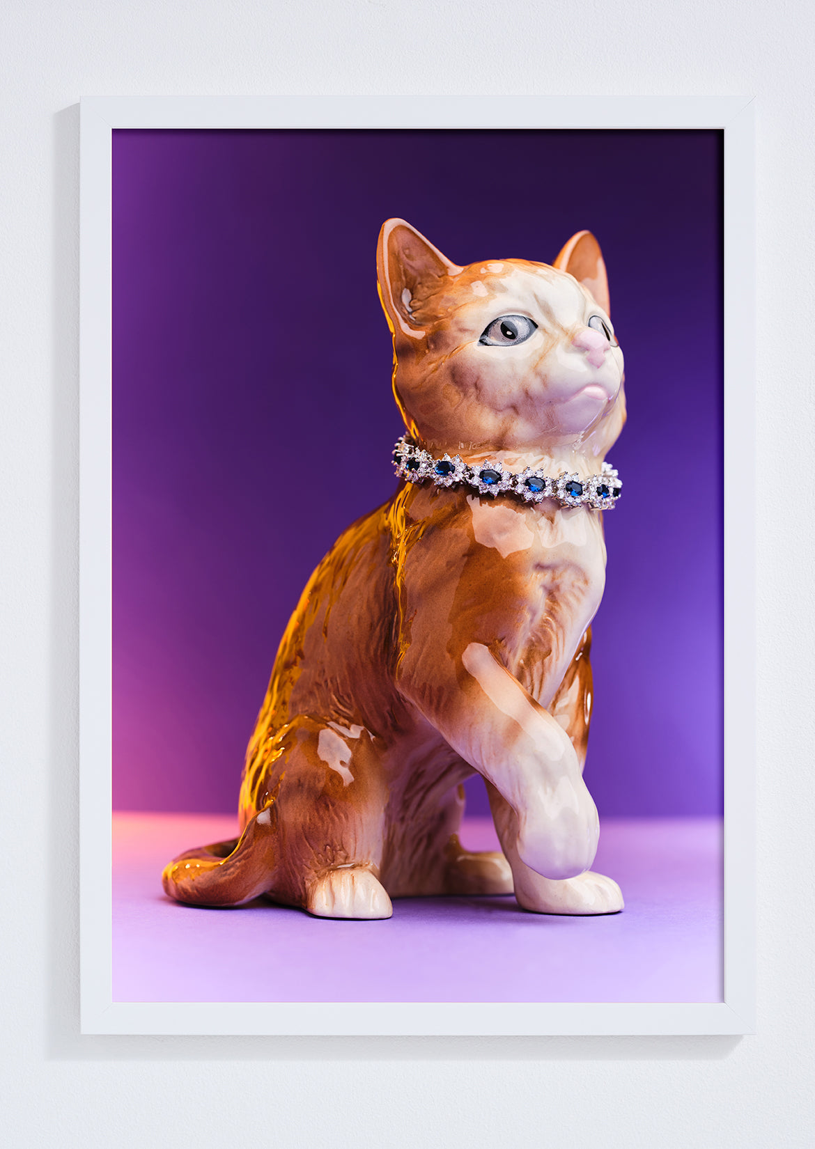 Diva Cat in Diamonds Photo Print