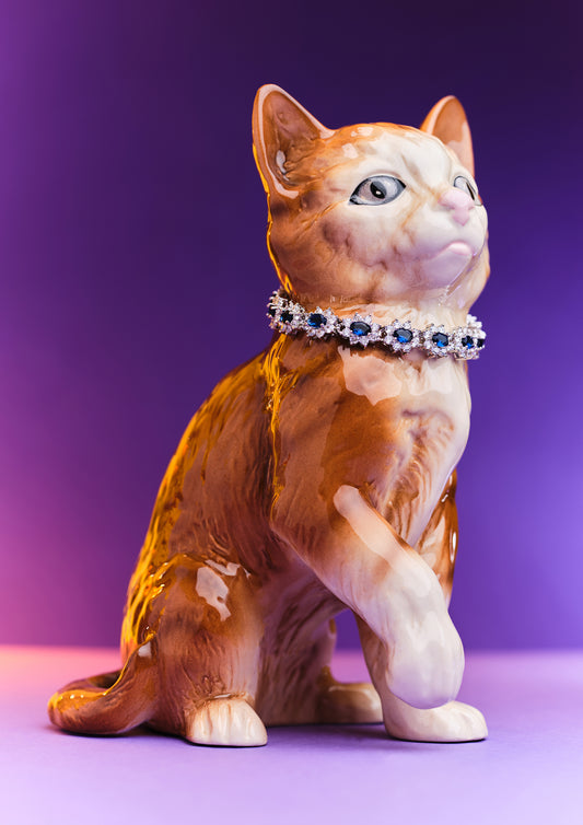 Diva Cat in Diamonds Photo Print