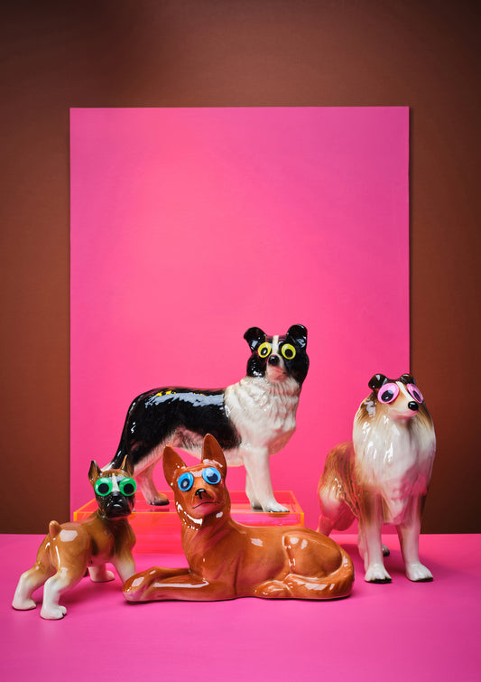 "Goggle eyed dogs , pink" giclée photo print