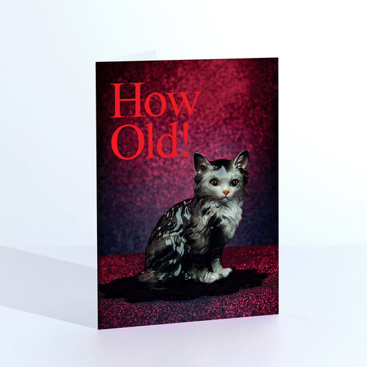How Old , Shocked Cat Greetings Card