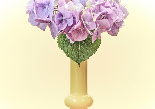 "Hydrangeas pastel wash" giclée photo print