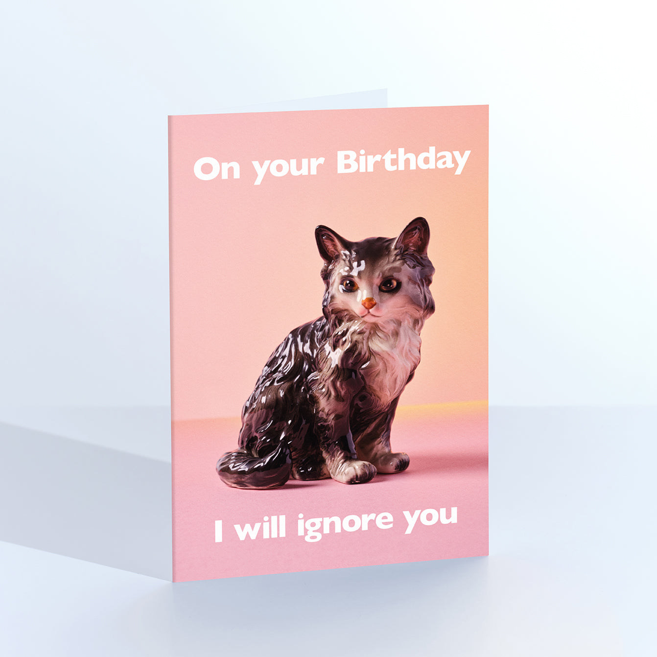 I will Ignore You Cat Birthday Card