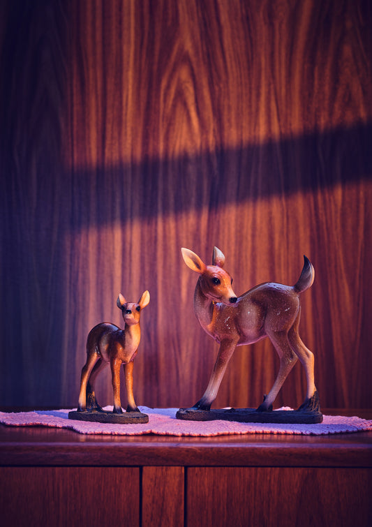 "Nana's house, deer in the early light" giclée photo print