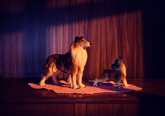 "Nana's house, dogs in the early light" giclée photo print